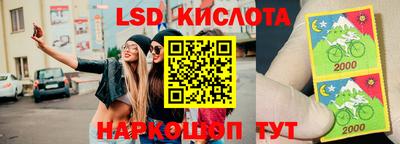 PSILOCYBIN Белорецк