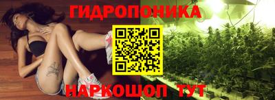 мяу мяу мука Бердск