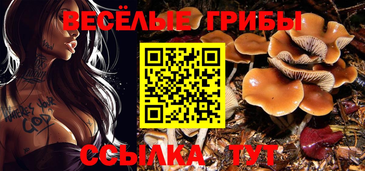 Галлюциногенные грибы прущие грибы Соликамск
