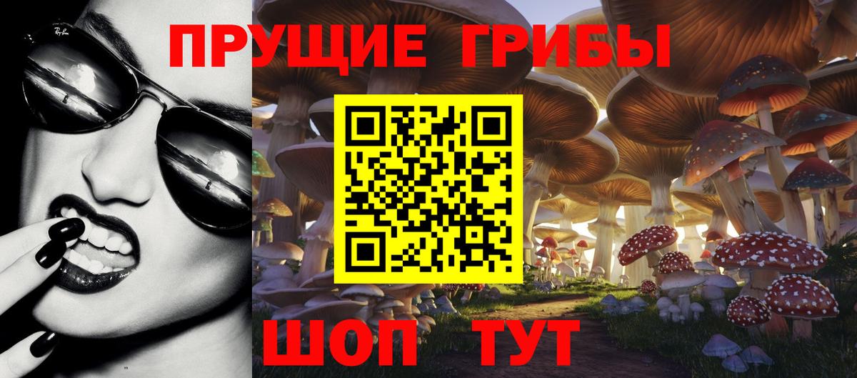 Соликамск  Галлюциногенные грибы Psilocybe  Вход с VPN 
